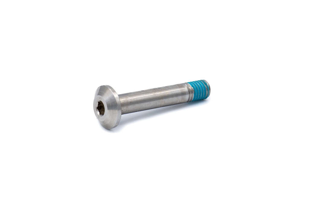 Shock Screw 8x1.25x58